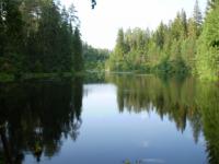 Нижегородцев познакомят с природой Мордовского заповедника на выставке пейзажных картин 