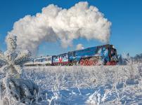 Поезд Деда Мороза приедет в Нижегородскую область 28 декабря 