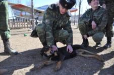 Школьники Нижегородской области отправятся на военные сборы на каникулах 