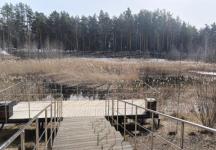 ГУФСИН подключит заключенных к расчистке Утиного озера в Дзержинске 
