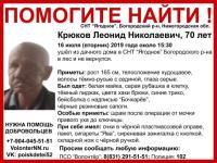 70-летний Леонид Крюков пропал в Богородском районе 