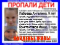 Найдены пропавшие в Нижнем Новгороде 2-летний мальчик и 9-летняя девочка 