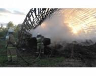 200 тонн сена сожгли дети в Выксе 