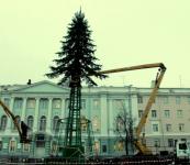 Главную новогоднюю ель в Нижнем Новгороде украсят 300-метровой гирляндой и 600 игрушками 