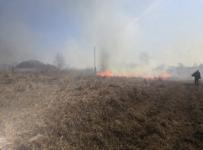 Семь домов и 4 га сухой травы сгорело в Большеболдинском районе 