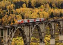 Движение дополнительных поездов до Моховых Гор продлили до 22 октября 