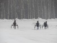 Приз Мазурки разыграют на Нижегородском ипподроме 25 января 