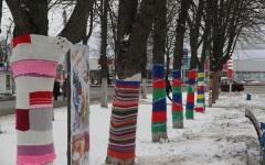 Деревья в Нижнем Новгороде закутают в теплые шарфы 