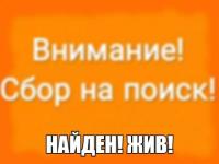 Пропавший в Нижегородской области 14-летний школьник найден 