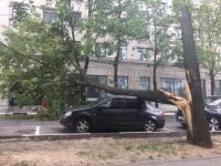 Упавшее дерево перекрыло улицу Новая в Нижнем Новгороде 