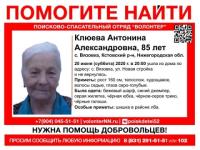 В Кстовском районе пропала 85-летняя женщина 