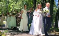 13 пар поженились в нижегородском парке «Швейцария» 7 июля 