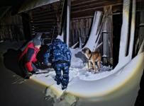 Брошенную умирать на цепи собаку спасли в деревне Мурзино 