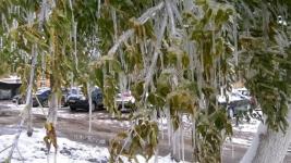 Снег с дождем и заморозки ожидаются в Нижнем Новгороде 12 декабря   