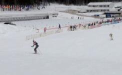 Новая профессиональная биатлонная трасса может появиться в Нижегородской области на условиях государственно-частного партнерства 