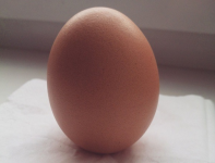 Нижегородцам назвали норму яиц на Пасху 