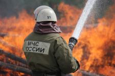 Лесной пожар в 0,5 га ликвидируют в Балахнинском районе 