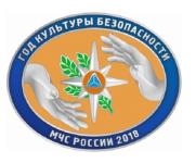 Годом культуры безопасности объявлен в МЧС РФ 2018 год  