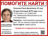Сбор на поиск Раисы Лагуновой объявлен в Выксунском районе 