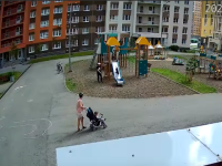Нижегородцы жалуются на дрессирующую собак на детской площадке соседку 
