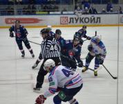 Нижегородская "Чайка" стала третьей на Кубке Васильева 