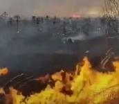 Могилы повреждены при пожаре на кладбище в Богородске из-за пала травы 