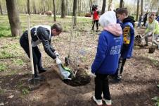 Свыше 300 тысяч деревьев высадят в ходе акции «Сад Памяти» в Нижегородской области 