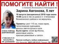Мошенницы вымогают деньги нижегородцев за помощь 5-летней Зарине Авгоновой 