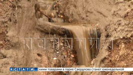 Оползень затопил грязью несколько частных домов в Слободе Подновье 
 