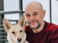 Владимир Гройсман: «Закон об эвтаназии бездомных животных противоречит Конституции» 