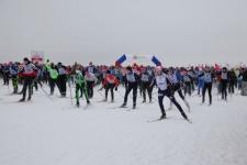 Нижегородская молодежь меняет подход к жизни – в моде физкультура и спорт, - Ольнев 