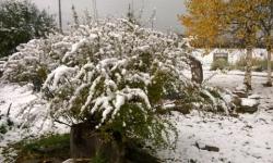 Первый снег обещают синоптики в октябре в Нижнем Новгороде  