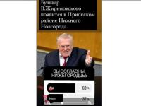 Экс-мэр Нижнего Новгорода Лебедев не поддержал создание бульвара Жириновского 