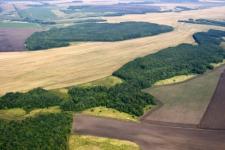 Нижегородец заплатит 60 тысяч рублей за свалку на своих сельхозучастках 