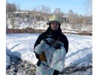 Двух котов спасли из горящего дома в Нижегородской области 