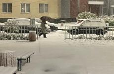 Сильный снегопад обрушился на Нижний Новгород 