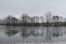 Ясная погода и до +7°C ожидается в Нижнем Новгороде 7 апреля   