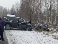 Водитель Lada Granta погиб в ДТП в Городецком округе 