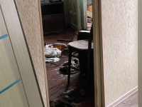 Труп нижегородца и двух мертвых котов обнаружили в квартире на Советской 