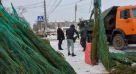 Случаи незаконной торговли елками выявили в Нижнем Новгороде 