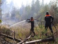 Около 900 пожарных тушат горящие леса в Воротынском районе 