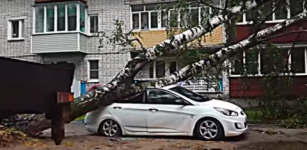 Опубликовано видео последствий урагана в Кулебаках 