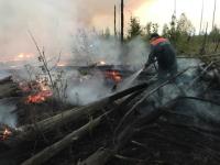 50 нижегородских пожарных тушат горящий заповедник в Мордовии 