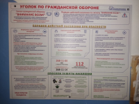 Стенды по гражданской обороне замечены в подъездах в Нижнем Новгороде 