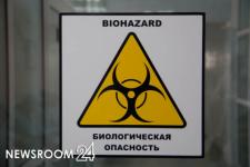 Нижегородский врач-инфекционист Краснов предупредил об опасной форме сибирской язвы 