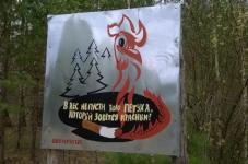 Высокая пожароопасность лесов сохраняется на территории Нижегородской области 