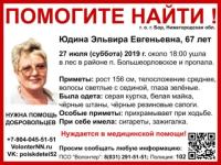 Поиски 67-летней Эльвиры Юдиной продолжаются в Нижегородской области 