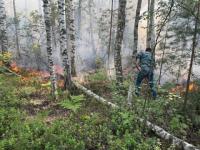 Режим повышенной готовности объявлен в Балахнинском округе из-за торфяного пожара 