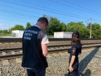 Уголовное дело возбудили после наезда скоростного поезда на семью в Нижегородской области  
