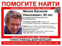 65-летний Василий Малов заблудился в лесу Воскресенского района 